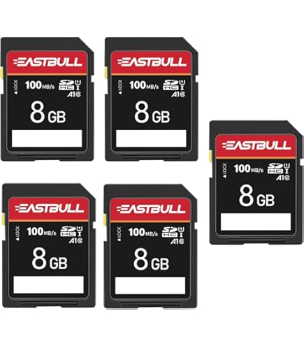 Amazon.com: Ricoh GR DIGITAL IV Digital Camera Memory Card 2 x 4GB